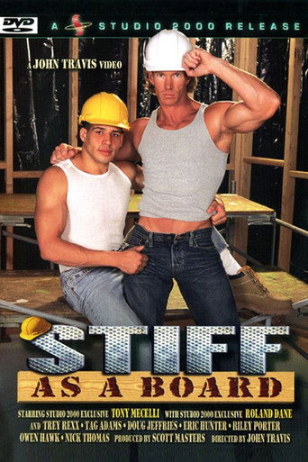 Stiff as a Board movie poster