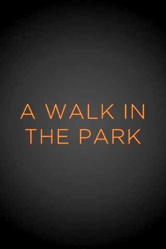 A Walk in the Park movie poster