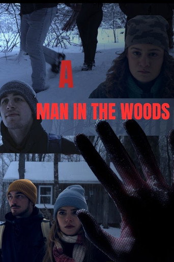 A Man in The Woods movie poster