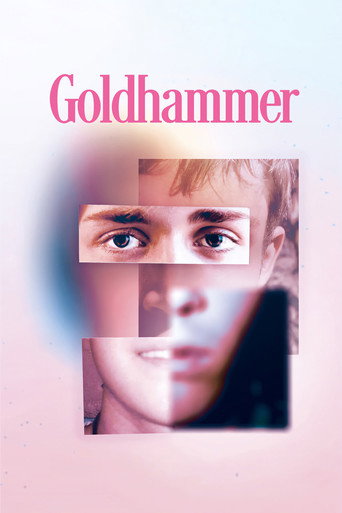 Goldhammer movie poster
