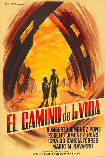 The Road of Life movie poster