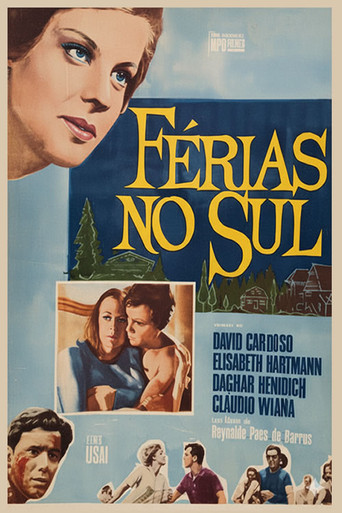 Férias No Sul movie poster