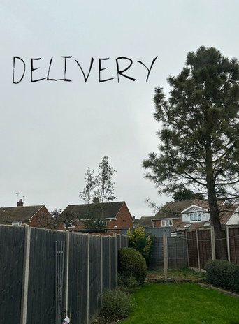 Delivery movie poster