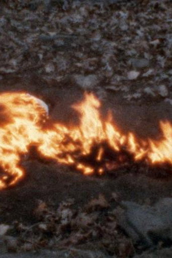 Alma, Silueta en Fuego movie poster