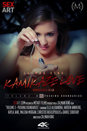 Kamikaze Love Volume 3 - Pushing Boundaries movie poster
