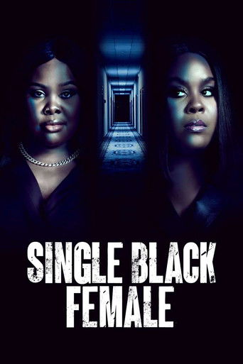 Single Black Female movie poster
