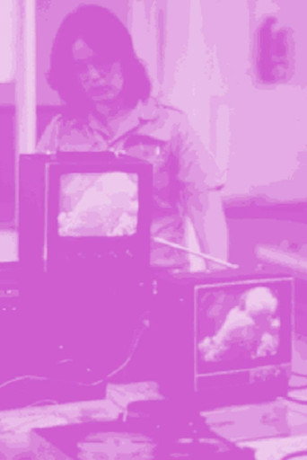 Not For Sale: Feminism and Art in the USA during the 1970s movie poster