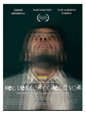 Finding Memories movie poster