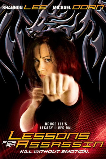 Lessons for an Assassin movie poster