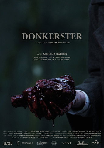 Darker movie poster