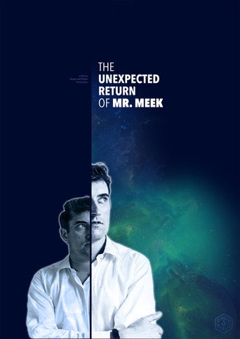 The Unexpected Return of Mr. Meek movie poster