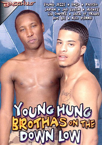 Young Hung Brothas on the Down Low movie poster
