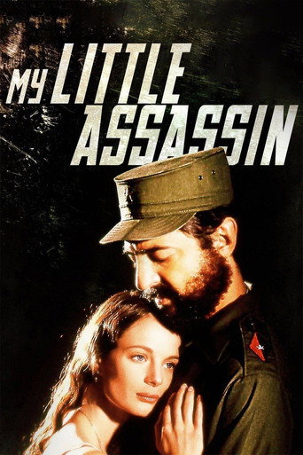 My Little Assassin movie poster