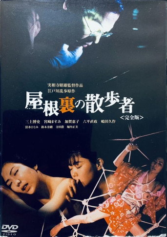 A Watcher in the Attic movie poster