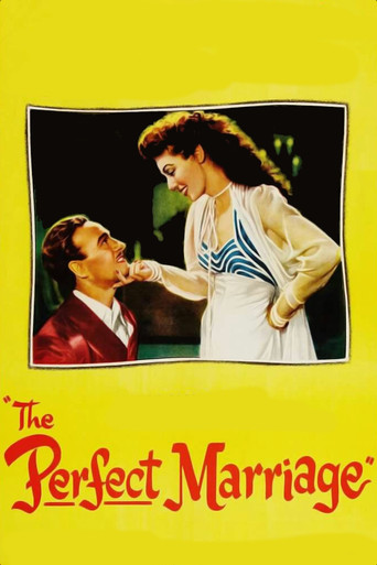 The Perfect Marriage movie poster