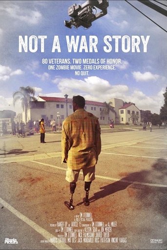 Not a War Story movie poster