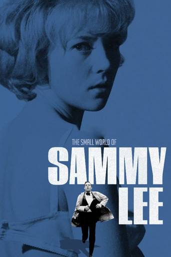 The Small World of Sammy Lee movie poster