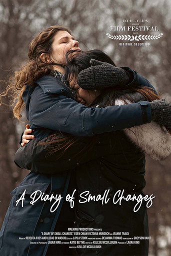 A Diary of Small Changes movie poster
