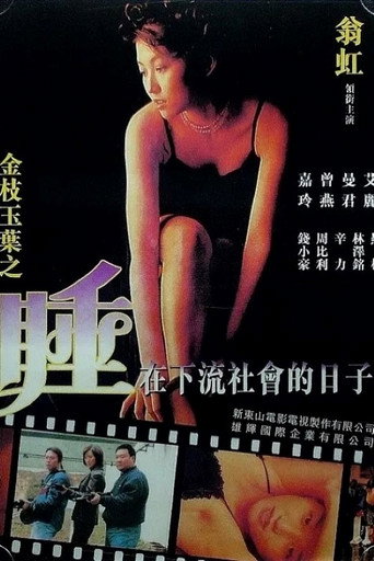 Undercover Girls movie poster