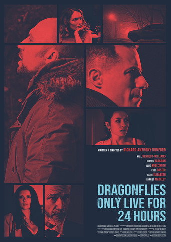 Dragonfiles Only Live for 24 Hours movie poster