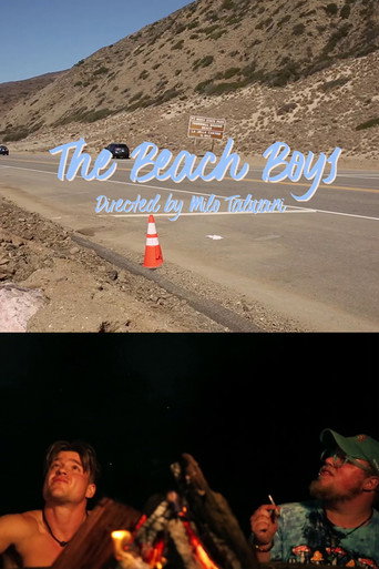 The Beach Boys movie poster