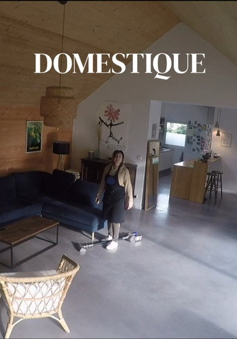 Domestique movie poster