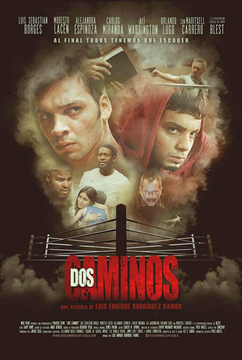 Dos caminos movie poster