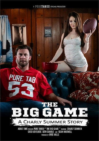 The Big Game: A Charly Summer Story movie poster