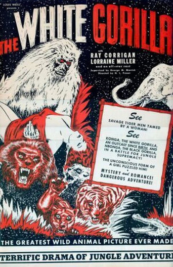 The White Gorilla movie poster