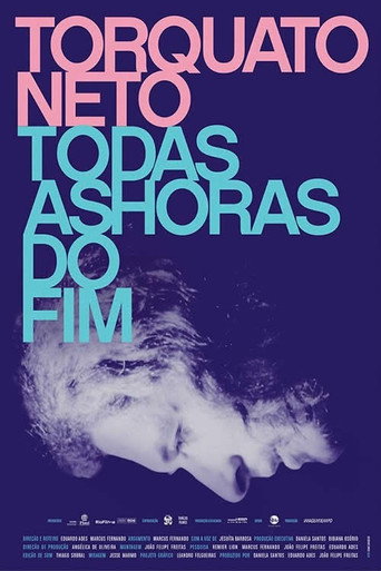 Torquato Neto - Every Hour of the End movie poster