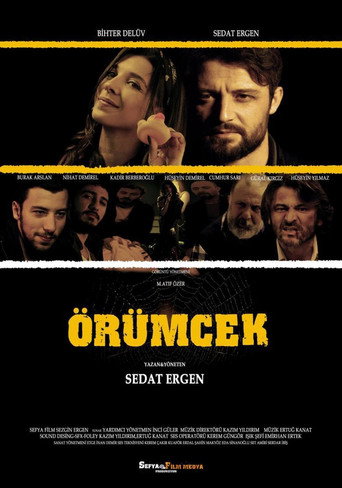 Örümcek movie poster