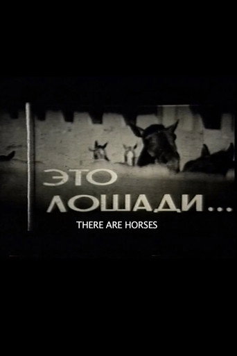There Are Horses movie poster
