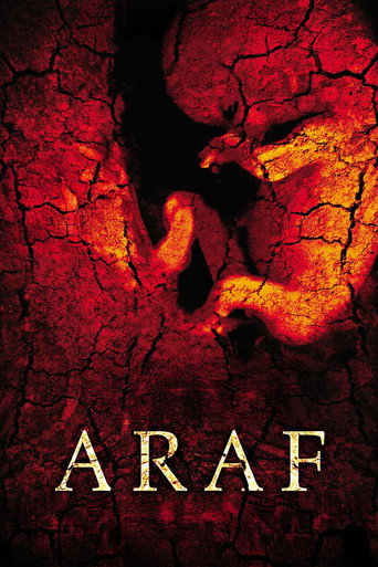 Araf movie poster