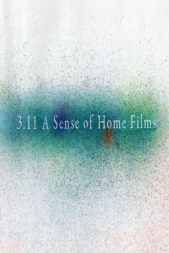 3.11 A Sense of Home Films movie poster