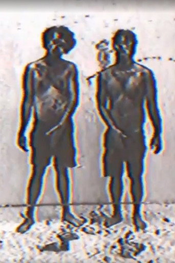 Fook Fook Boys movie poster