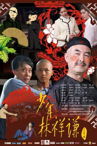 Junior Lin Xiangqian movie poster