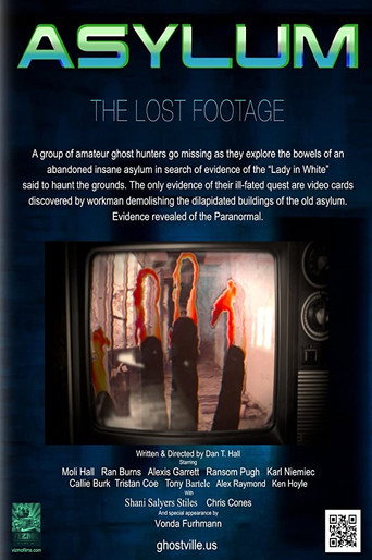 Asylum: the Lost Footage movie poster