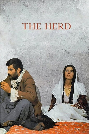The Herd movie poster