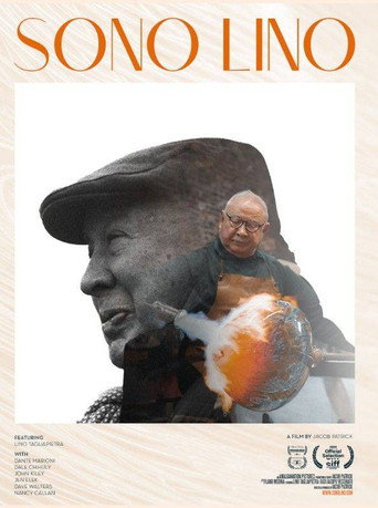 Sono Lino movie poster