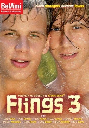 Flings 3 movie poster