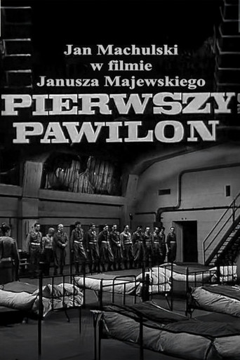First Pavilion movie poster