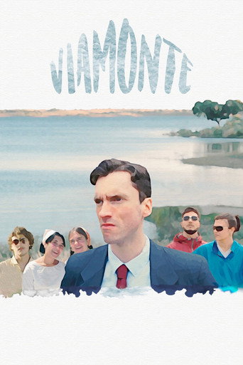 Viamonte movie poster
