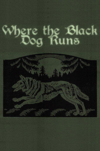 Where the Black Dog Runs movie poster