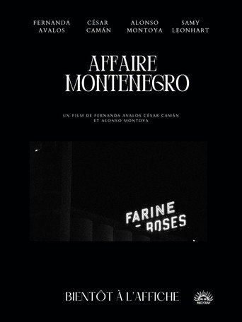 The Montenegro Affair movie poster