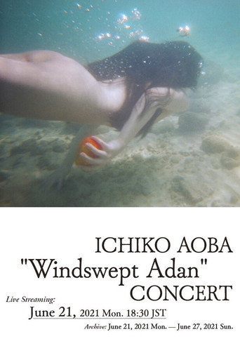 Windswept Adan - Live at Orchard Hall movie poster