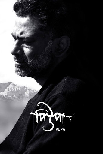 Pupa movie poster