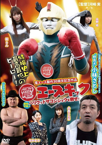 Den Ace Kick movie poster