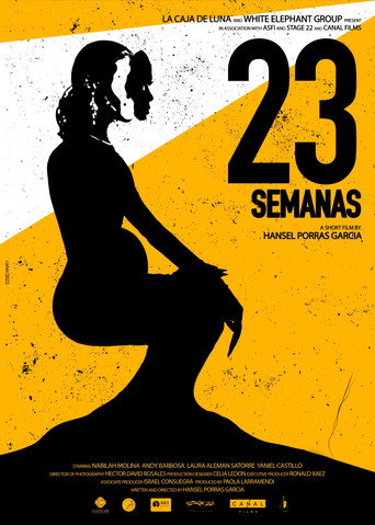 23 Semanas movie poster