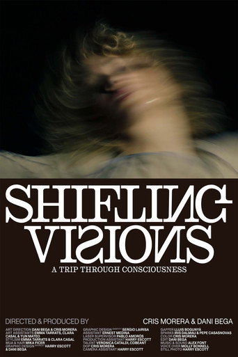SHIFTING VISIONS movie poster
