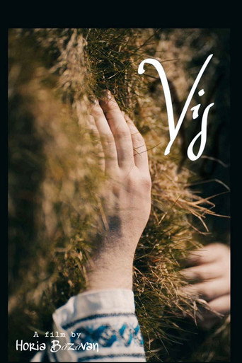 VIS movie poster